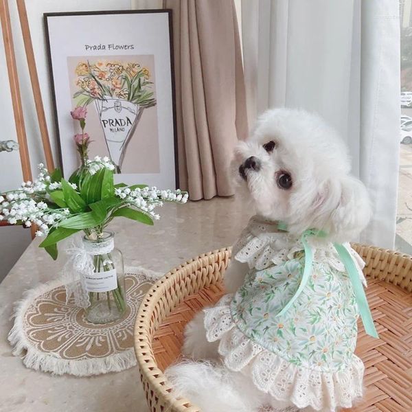 Hundebekleidung, grünes Blumen-Spitzenkleid, Kleidung, Kawaii, süße Kleidung für kleine Hunde, Katze, koreanische Mode, Sommer, dünn, Party, süßes Mädchen, Haustierartikel