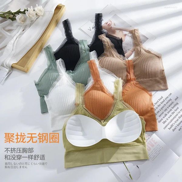 Camisoles Tanks Spitze Schönheit Zurück Übung Bh Anti-Exposition Sexy Bandeau Bügel Gepolsterte Strap Tube Top Unterwäsche Für Frauen