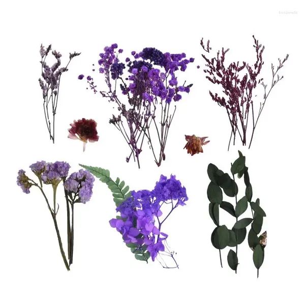 Dekorative Blumen bunt getrocknet | Trockener Blumenstrauß, Bastelzubehör für Duftkerzen, Grußkarten, Lesezeichen, Scrapbooking