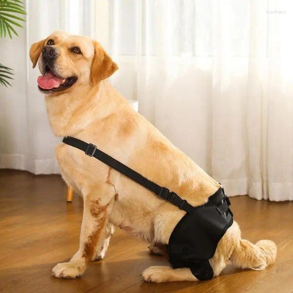 Abbigliamento per cani Supporto per gambe Tutore per articolazione dell'anca del ginocchio Proteggere le ferite Prevenire lesioni Riabilitazione dei legamenti della cinghia per cani per animali domestici Accessori