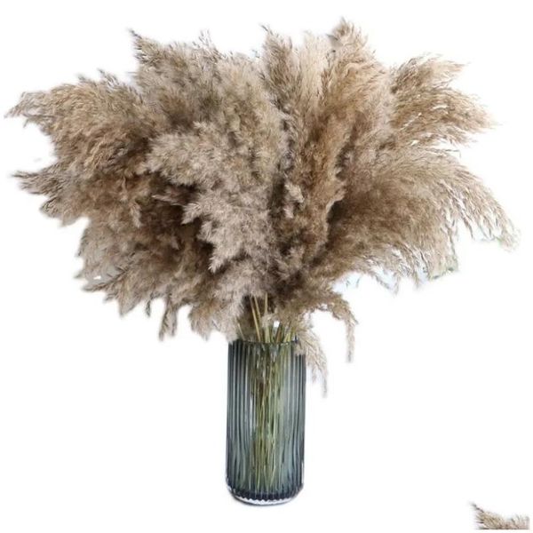 Ghirlande di fiori decorativi 60 cm Bouquet di erba di pampa Fiori secchi Matrimonio all'ingrosso Uso Decorazioni natalizie Decorazione autunnale artificiale Dhafv