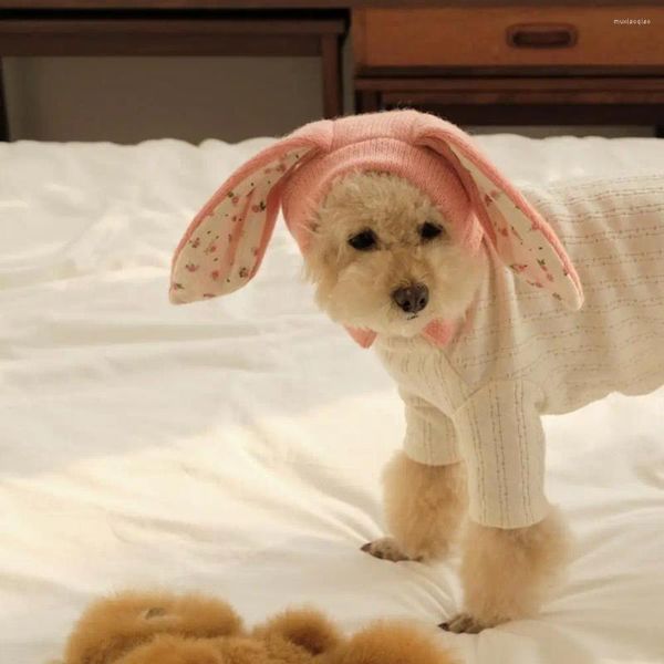 Abbigliamento per cani Decorazioni per gatti carini Cappello lavorato a maglia per animali domestici accogliente con orecchie Mantieni caldo l'autunno inverno Questo per gli animali domestici dei gatti