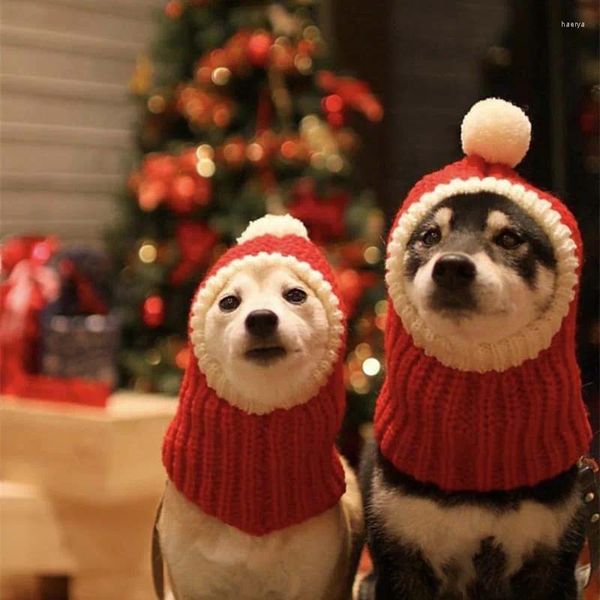 Hundebekleidung Winter-Haustiermütze Hunde Weihnachten Strickschal Festival Süße kleine und mittlere Kopfbedeckungen Accessoires Katzenwelpenartikel