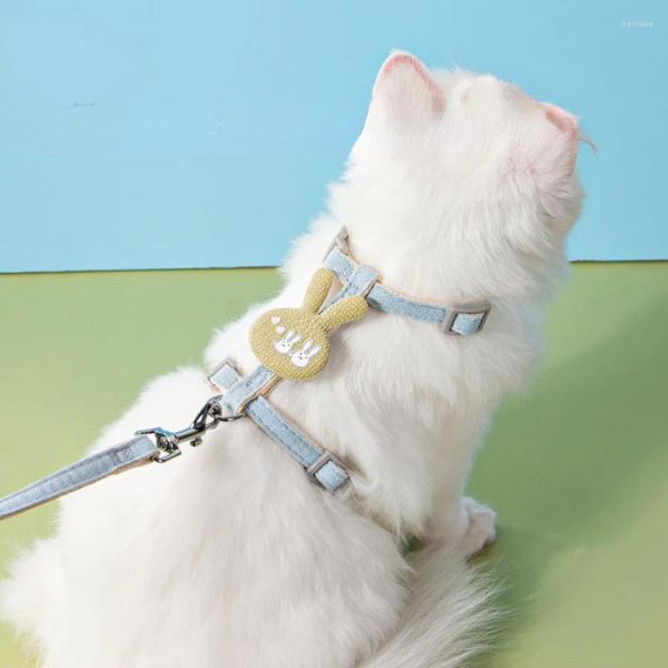 Collari per cani Collare piccolo Personalizzato Gatto Gattino Imbracatura di vendita regolabile Campane Protettivo Carino Collier anti-perdita Chien Articoli per animali domestici