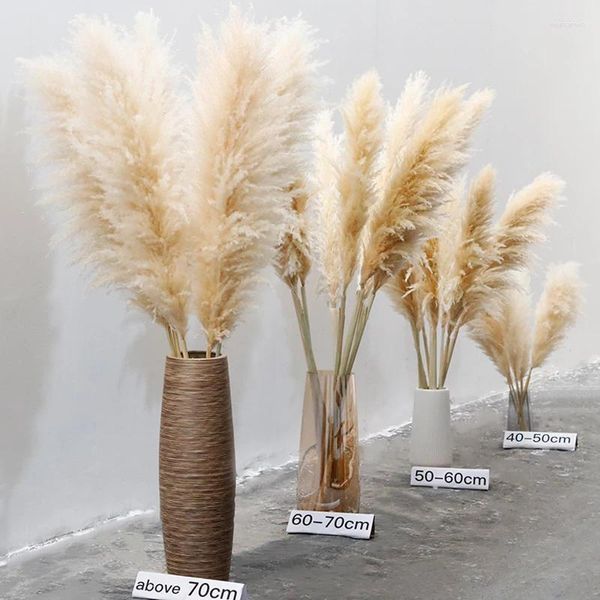 Flores decorativas 10 peças pluma 30-75cm grande grama de pampas buquê de flores secas decoração de casa hastes altas e fofas sala de estar decoração de casamento