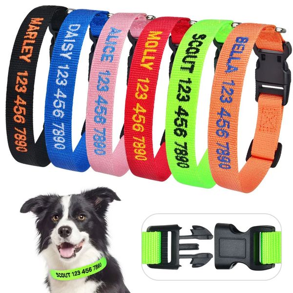 Collari per gatti Guinzagli Airuidog Collare per cani ricamato Personalizzato Nome gattino Numero di telefono Collana in nylon Piccolo grande cucciolo 231017