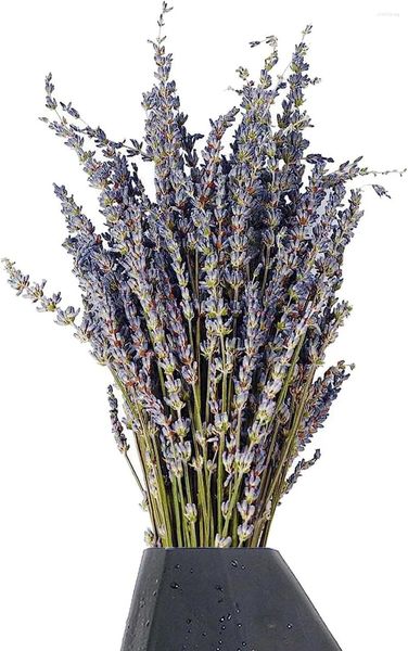 Fiori decorativi Mazzi di lavanda essiccati Bouquet di mazzi appena raccolti per regali artigianali a casa Dicembre 2019