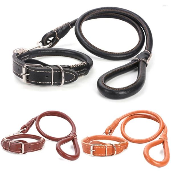 Hundehalsbänder, dickes PU-Lederhalsband und Leine-Set, rund, starkes Haustier-Walking-Training für kleine, mittelgroße und große Hunde