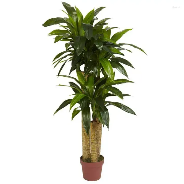 Dekorative Blumen Echter Maisstiel Dracaena Künstliche Pflanze Grüne Dekorationen für Party Erdbeerdekoration Blätter Blumenstraußhalter Dekor