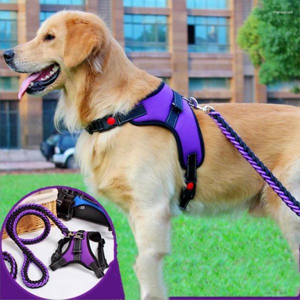 Hundehalsbänder 2023 Nylon Schweres Haustiergeschirr Halsband Extra Groß Groß Mittel Klein Geschirre Weste Leine Seil Set Husky Hundebedarf