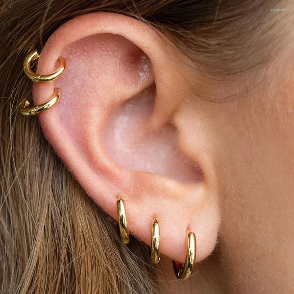 Creolen Einfache Edelstahl Frauen Tragus Piercing Septum Glatt Gold Farbe Knorpel Hoops Ohr Zubehör Schmuck Geschenk