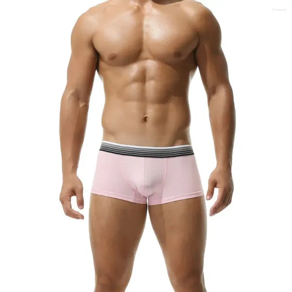 Cuecas masculinas gradiente listra cinto cintura baixa sexy gay deslizamentos lingerie boxer shorts algodão fino ângulo plano esportes roupa interior