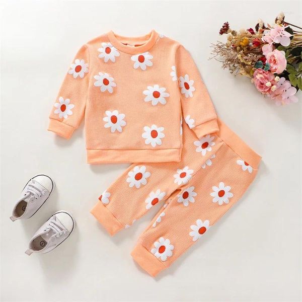 Conjuntos de roupas 0-24m bebê meninas outono floral calça nascido criança manga longa pulôver tops moletom calças roupas infantis