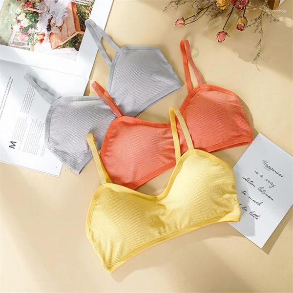 Bustiers espartilhos menina bonito tupe topo feminino sutiã macio sutiã confortável roupa interior esporte bralette reunião sutiãs sem jantes íntimos