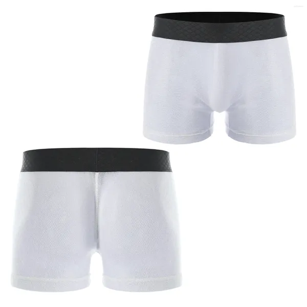 Cuecas masculinas brilhantes elástico boxer breve shorts transparentes cintura baixa cintura elástica roupa interior