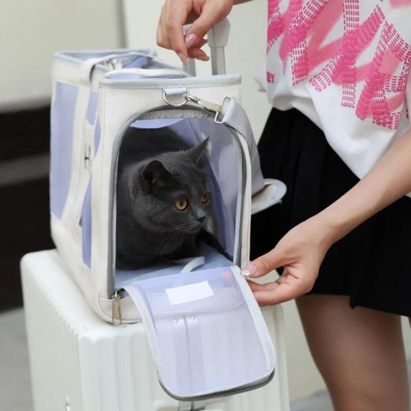 Kedi Taşıyıcılar Pet Taşıyıcı Küçük Köpek Köpek Yavru Kitty Taşıma Omuz Çanta Çantası Dış Moda Şeffaf Seyahat