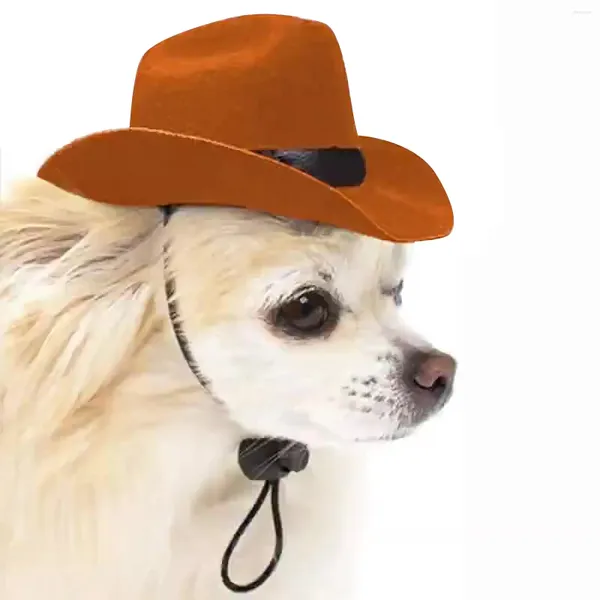 Hundebekleidung, Haustier-Cowboy-Kleidung, Katzenhut, Welpe, verstellbar, geeignet für kleine Hunde und Katzen, Geburtstagsfeier, Po-Shootings