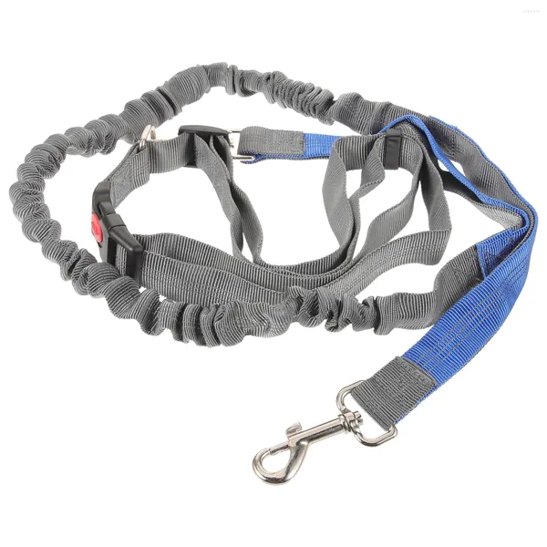 Collari per cani Cinture Guinzaglio da corsa Bungee Vita per animali domestici per camminare a mani piccole Mani libere in corda