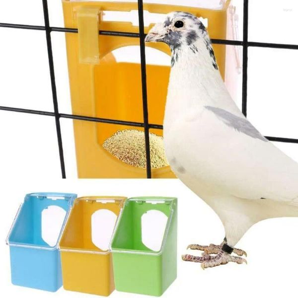 Andere vogelbenodigdheden Voederbak Doos Plastic Waterapparatuur Papegaaicontainer Voeder Duivenvoerdispenser