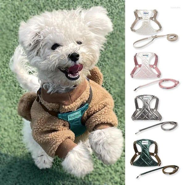 Collari per cani Set di imbracature e guinzagli confortevoli Gilet per animali traspirante di lusso Cintura da corsa per cani Doppio gancio per addestramento di animali di piccola e media taglia