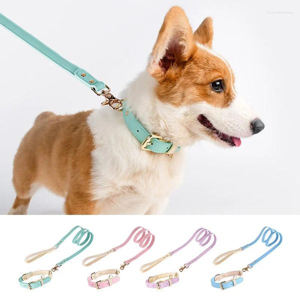 Collari per cani Collare e guinzaglio durevoli Corda per animali domestici in pelle Fibbia in metallo regolabile personalizzata per accessori per cani di piccola taglia