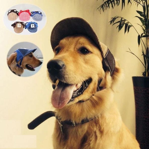Vestuário para cães verão gato boné de beisebol cocar teddy golden retriever grande chapéu de sol respirável para animais de estimação