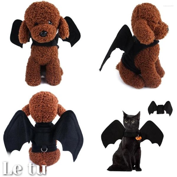 Costumi per gatti Halloween Divertenti cani da compagnia Set cosplay Costume per cani Abiti comici per abiti da festa per cuccioli Zucca