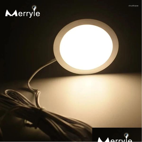 Lampadine a LED sotto la luce dell'armadio 12V Smd 2835 Cucina di casa Vetrina Vetrina Armadietto Petto Bb Lampada da parete ad alta luminosità per armadio Luci Dh49H