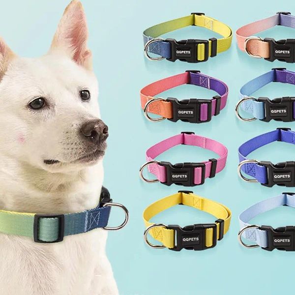 Hundehalsbänder Mode Bunte Katze Haustier Nylon Kragen Leine Set Verstellbare Schnalle Seil Gehen Laufen Shitzu Chihuahua Liefert Zubehör