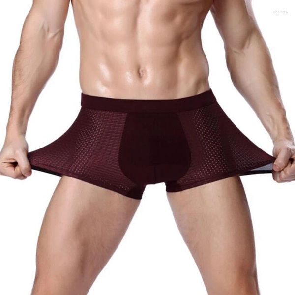 Mutande Boxer da uomo Slip moda Pantaloncini traspiranti per uomo Intimo Mesh U Convesso Modale Super Stretch Taglia grande