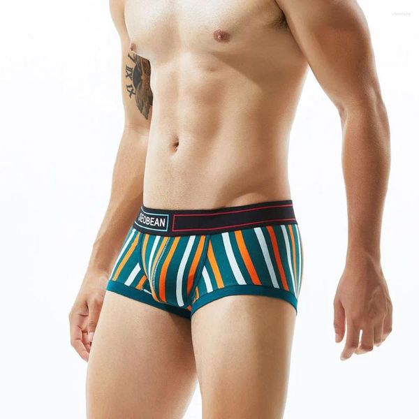 Underpants homens puro algodão colorido listrado boxer shorts canto plano underwea perna u saco convexo quatro cornerboxer e