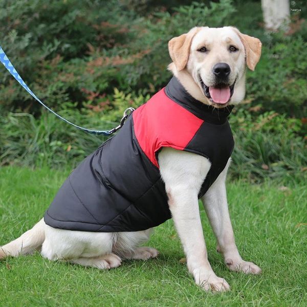 Vestuário para cães inverno quente roupas para animais de estimação à prova d'água colete acolchoado com zíper jaqueta casaco para cães pequenos médios grandes labrador husky S-5XL