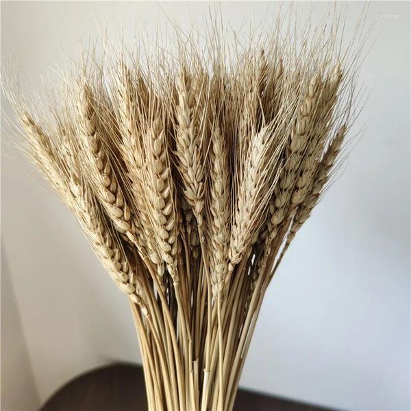 Flores decorativas 100 peças/25-35cm real natural seco trigo orelha ramo de flor diy buquê seco para decoração de casa decoração de festa de casamento