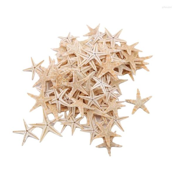 Placas decorativas 100 peças estrela do mar natural concha praia artesanato estrelas do mar diy decoração de casamento artesanato decoração de casa 1-5cm