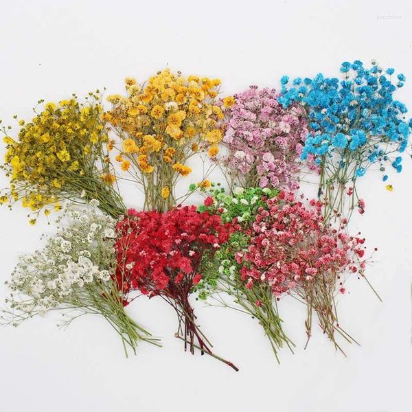 Dekorative Blumen, 5–8 cm/24 Stück, echte natürliche kleine Gypsophila, gepresste Baby-Atem-Blumenzweige für Nägel, DIY-Harz-Schmuck, Handyhülle