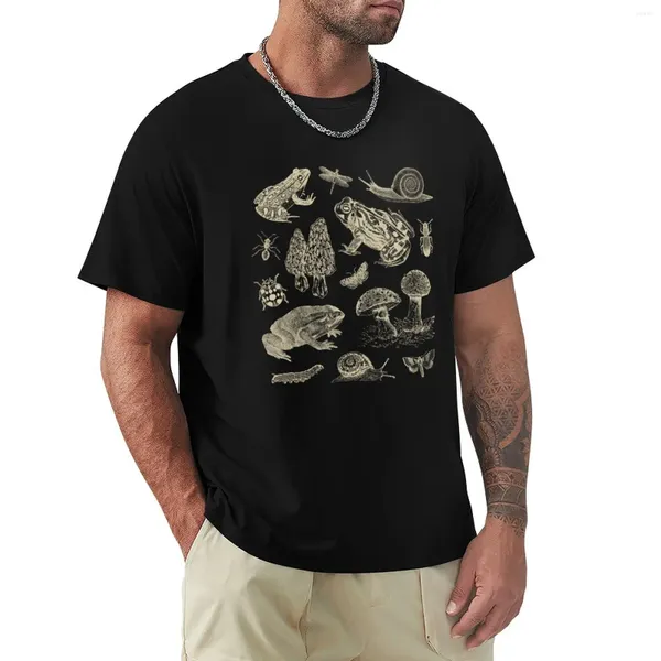 Polos masculinos Goblincore Sapo Cogumelo Caracol Traça Inseto Vintage Biologia Amante da Natureza - Camiseta de História Natural da Ciência