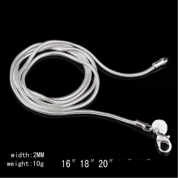 Catene 2mm Sterling Sier Smooth Snake Catene Collane da donna Catena di gioielli 16 18 20 22 24 pollici per fai da te all'ingrosso Consegna di goccia Dh32P