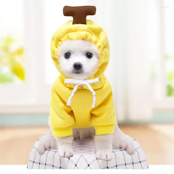 Abbigliamento per cani Abbigliamento per cani Giacca Cappotto Accessori per cuccioli Costume di Halloween 2023 Moda per soffice piccola tuta