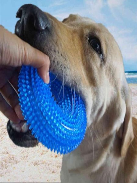 Giocattoli per animali domestici palla giocattolo vocale resistente ai morsi cane di grandi dimensioni capelli dorati giocattoli TPR spinati pulizia dei denti molari Nessun odore1200155