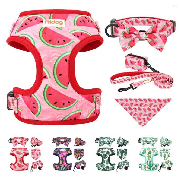 Collari per cani Collare in nylon Imbracatura Guinzaglio Borsa per cacca Bandana Set Stampa Pet con papillon per cani di piccola taglia media Animali domestici Gilet Corda principale