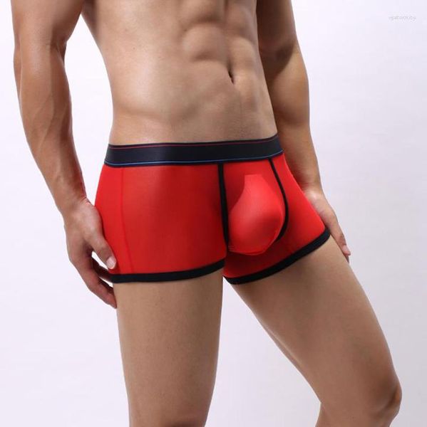 Underpants cintura baixa lingerie malha mens bolsa saco boxer transparente respirável gay erótico vermelho azul branco rosa preto sexy roupa interior