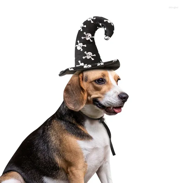 Abbigliamento per cani 2023 Cappello per animali domestici Gatto di Halloween trasformato in una strega