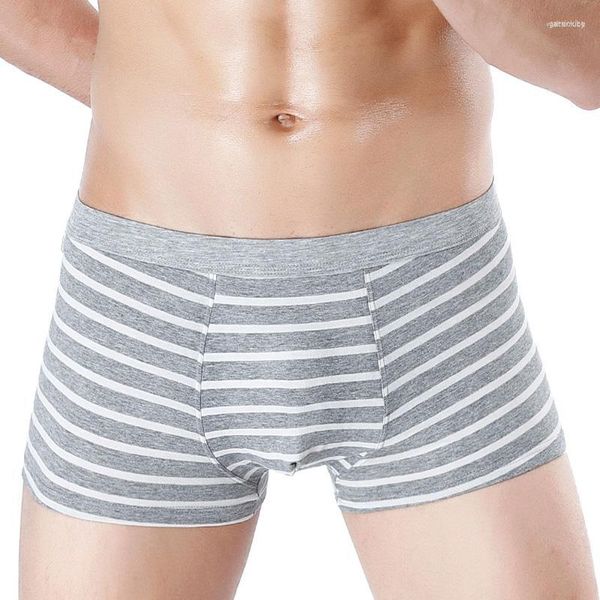 Mutande 4 pezzi Boxer Pantaloncini a righe Mutandine da uomo Intimo da uomo in cotone per uomo Comodo paio Cuecas sexy