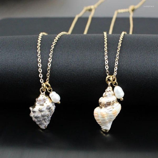 Colares Pingente Moda Criativa Natural Shell Colar Beach Conch Pérola de Água Doce Cor de Ouro Mãe 18K Banhado