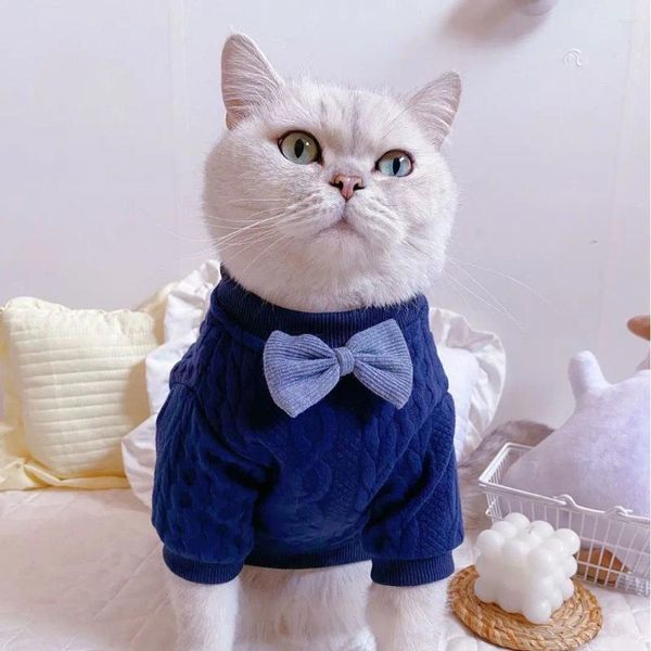 Costumi per gatti Simpatici influenzatori di Internet Abbigliamento Bambola di stoffa a strati argentati Latte blu Piccolo cane Animale domestico Primavera Autunno Moda Gilet a due zampe