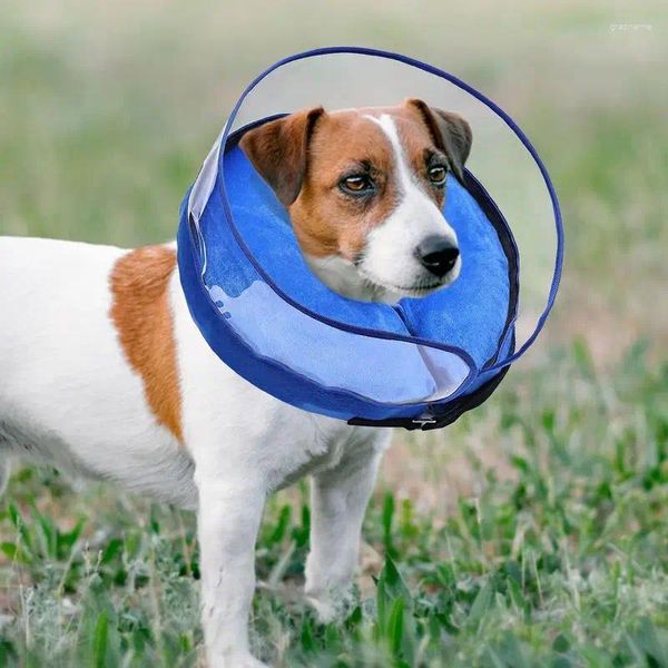 Hundehalsbänder Erholungshalsband Aufblasbarer Haustier-Anti-Biss-Hals Niedlicher Katzen-Welpen-Schutzkreis für Hunde