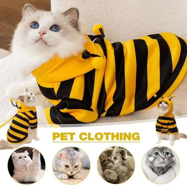 Costumi per gatti Vestiti per animali stile ape carino Autunno e inverno Maglione di velluto sottile Morbido costume di Halloween caldo per i gatti