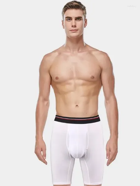 Underpants extra longo boxer homens ultralong plus size algodão esporte 120kg shorts masculino cintura alta alta calcinha branca roupa interior