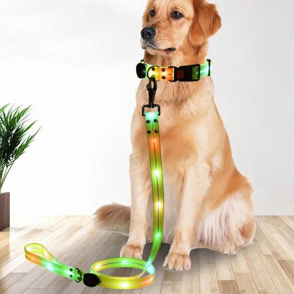 Collari per cani Collare in fettuccia morbida Guinzaglio USB ricaricabile Luce a led Lunghezza regolabile 3 modalità notturne per la sicurezza