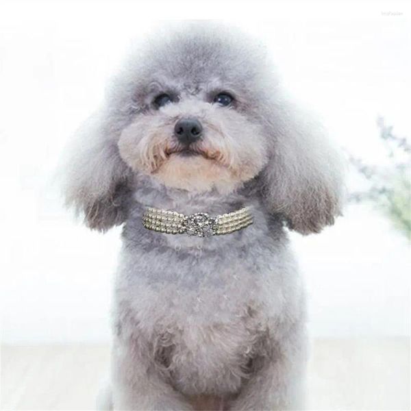Collari per cani Collana per animali domestici con perle imitazione Lussuosi accessori per catena con collo di gatto con strass e diamanti